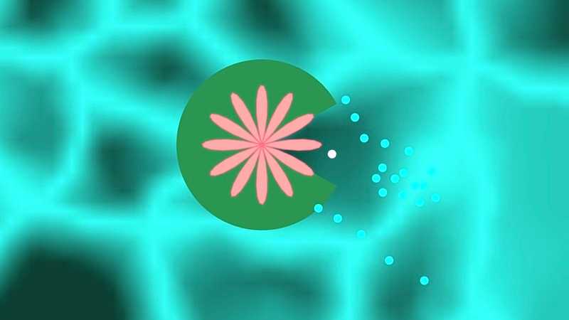 Interactive Lily Pad Simulation